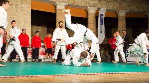 18-judo
